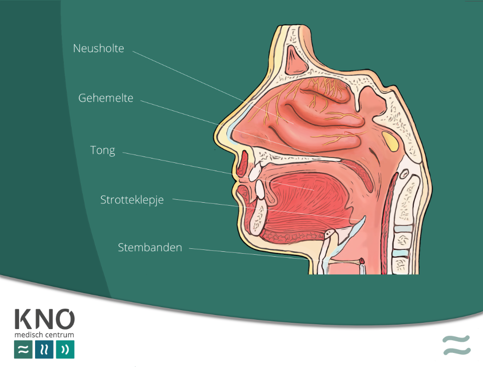 KNO Medisch Centrum mucus in the throat